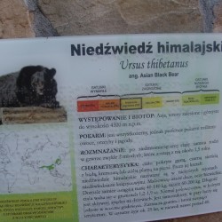 Gmina Inowrocław - Łojewskie dzieci na wakacyjnej wycieczce w Toruniu