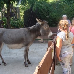 Gmina Inowrocław - Łojewskie dzieci na wakacyjnej wycieczce w Toruniu