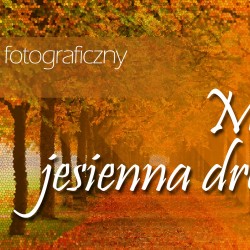 Gmina Inowrocław - Konkurs fotograficzny dla dzieci