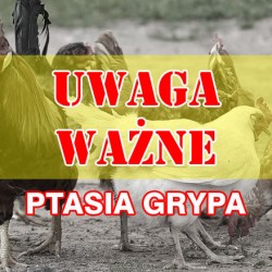 Gmina Inowrocław - Informacja dla hodowców drobiu