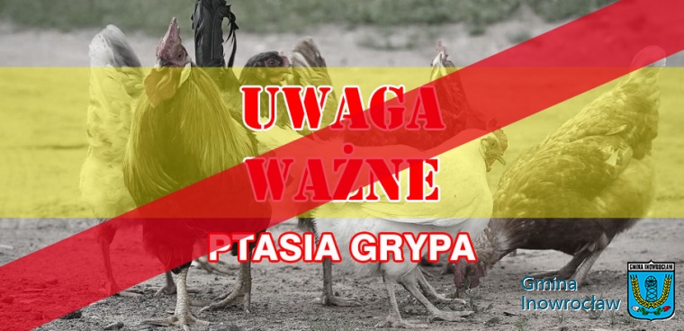 Gmina Inowrocław - Uchylenie rozporządzenia w sprawie zwalczania ptasiej grypy