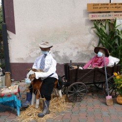 Gmina Inowrocław - Szczepionkowo-dożynkowo w Miechowicach