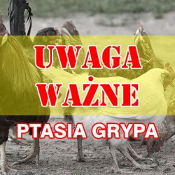 Gmina Inowrocław - Profilaktycznie i świątecznie w Cieślinie