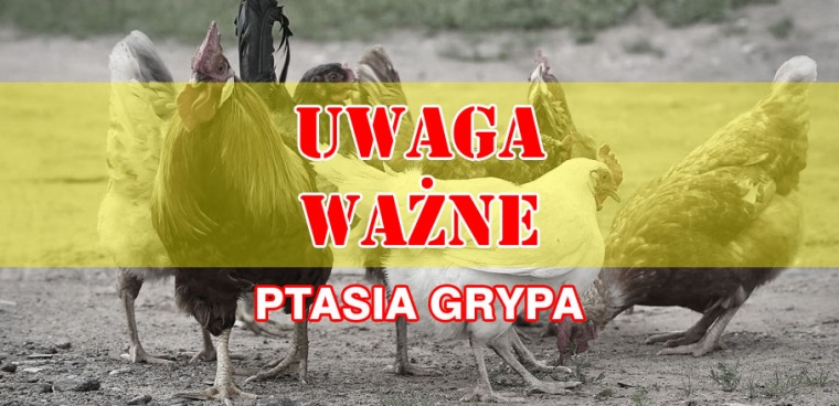 Gmina Inowrocław - Lekarz Weterynarii informuje 