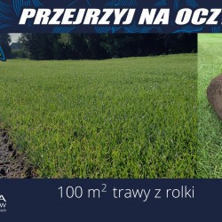 Gmina Inowrocław - Finał WOŚP w Łojewie