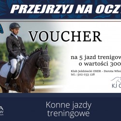 Gmina Inowrocław - Finał WOŚP w Łojewie