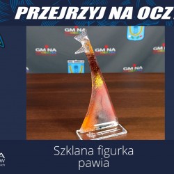 Gmina Inowrocław - Finał WOŚP w Łojewie