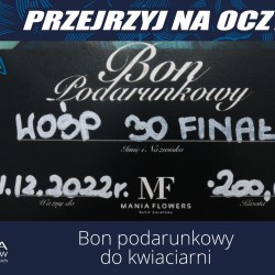Gmina Inowrocław - Finał WOŚP w Łojewie