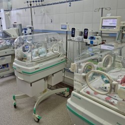 Gmina Inowrocław - Kiermasz w Urzędzie Gminy