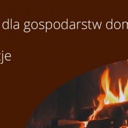 Gmina Inowrocław - Kiermasz w Urzędzie Gminy