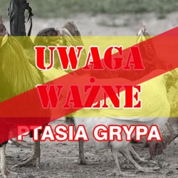 Gmina Inowrocław - Harmonogram odbioru odpadów na 2024 rok