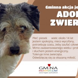 Gmina Inowrocław - Trwa akcja „Karma wraca”