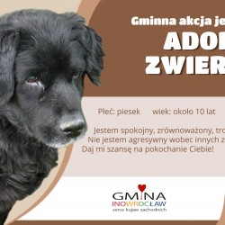 Gmina Inowrocław - Trwa akcja „Karma wraca”