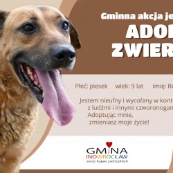 Gmina Inowrocław - Trwa akcja „Karma wraca”