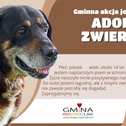 Gmina Inowrocław - Trwa akcja „Karma wraca”