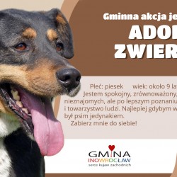 Gmina Inowrocław - Trwa akcja „Karma wraca”