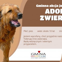 Gmina Inowrocław - Trwa akcja „Karma wraca”