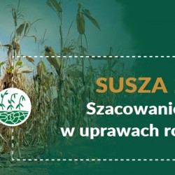 Gmina Inowrocław - Harmonogram odbioru odpadów na 2024 rok
