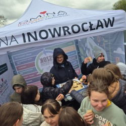 Gmina Inowrocław - Pomnik przyrody przebadany