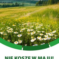 Gmina Inowrocław - Spotkanie z historią w tle