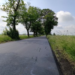Gmina Inowrocław - Współpraca między samorządami przynosi efekty.