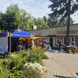 Gmina Inowrocław - Dzień Otwarty w Schronisko dla Zwierząt w Inowrocławiu 