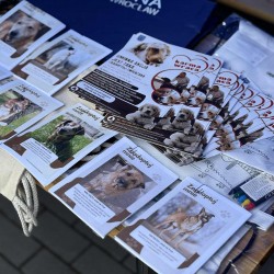 Gmina Inowrocław - Dzień Otwarty w Schronisko dla Zwierząt w Inowrocławiu 