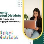 Granty dla organizacji pracujących z młodzieżą